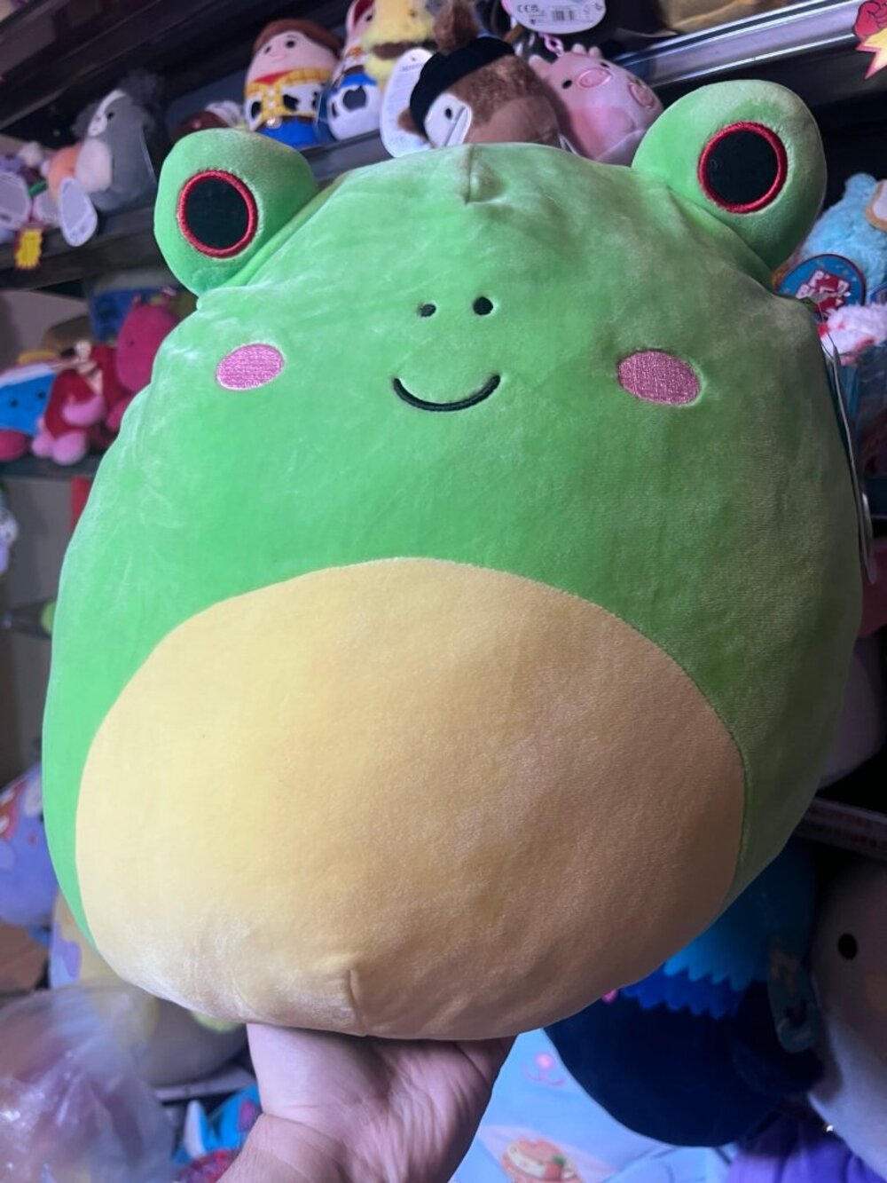 Squishmallow 14” Red Eye Wendy the Frog NWT